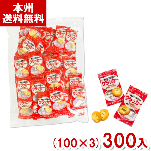 リアライズプランニング 2枚 プチあたり前田のクラッカー (100×3)300入 (駄菓子 お菓子 景品 まとめ買い) (Y80) (本州送料無料)