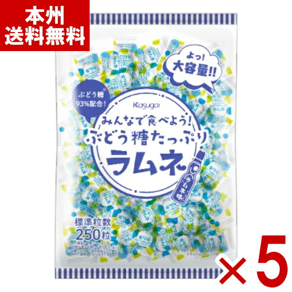 春日井製菓 みんなで食べよう! ぶどう糖たっぷりラムネ 550g×5袋入 (業務用 大量 お菓子 景品 ばらまき..