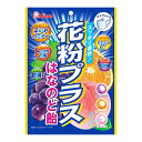 ライオン菓子 花粉プラス はなのど飴 70g×6袋入 (のどあめ キャンディ ミント 飴 アソート お菓子 まとめ買い)