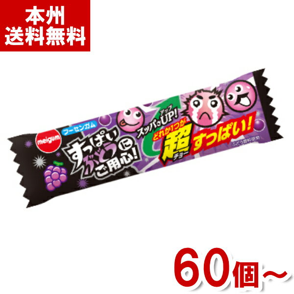 明治チューインガム すっぱいぶどうにご用心 (駄菓子 ガム すっぱいガム お菓子 おやつ) (本州送料無料) 1