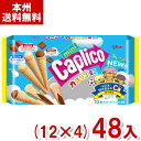 江崎グリコ 10本 カプリコミニ大袋 (12×4)48入 (チョコレート お菓子 個包装 イベント 景品 販促品 粗品) (Y14) (本州送料無料)