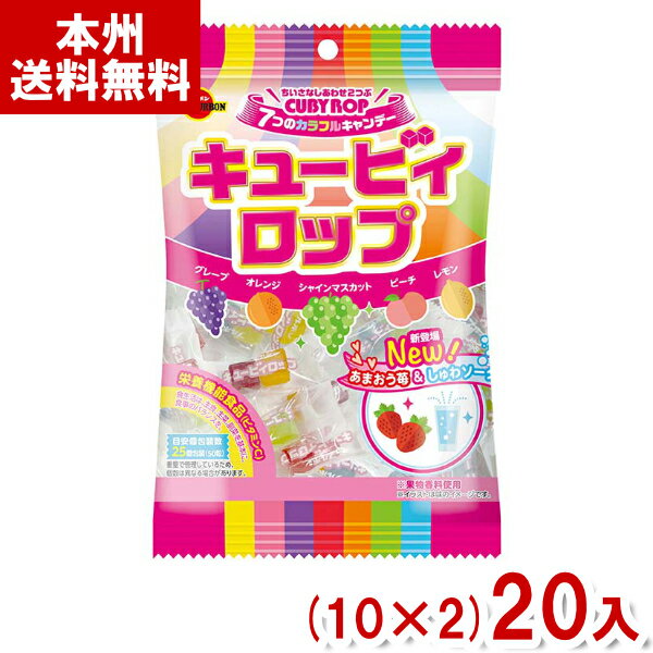 キャンディ ブルボン 100g キュービィロップ (10×2)20入 (キャンディ 飴 お菓子 栄養機能食品) (Y80) (本州送料無料)