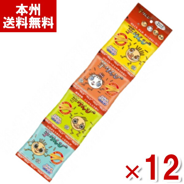 (賞味期限2024.8.6) 澁谷食品 芋けんぴ 4連パック 80g×12入 (アウトレット 訳あり お菓子 見切り品 在庫処分 しぶや さつまいも おやつ) (ケース販売)(Y80) (本州送料無料)*