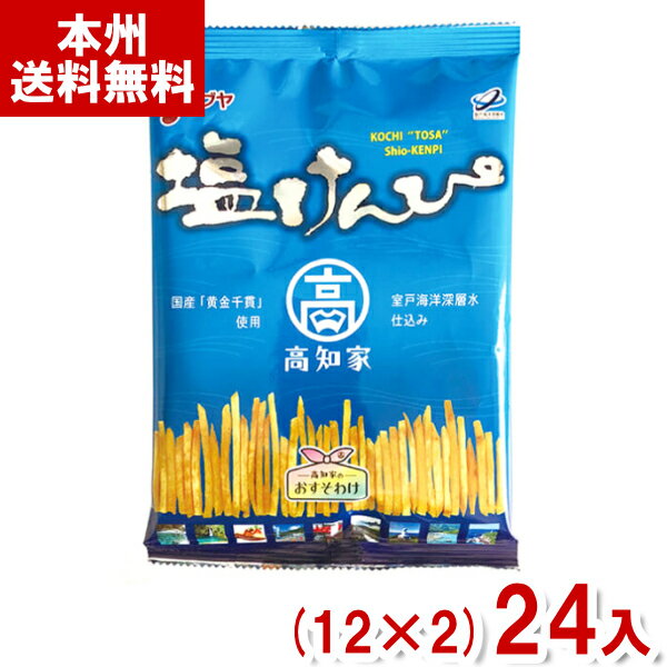 (賞味期限2024.8.6) 澁谷食品 105g 塩けんぴ (12×2)24袋入 (アウトレット 訳あり お菓子 見切り品 高知家 芋けんぴ しぶや さつまいも おやつ) (2ケース販売)(Y10) (本州送料無料)*