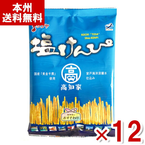 (賞味期限2024.8.6) 澁谷食品 塩けんぴ 105g×12袋入 (アウトレット 訳あり お菓子 見切り品 高知家 芋けんぴ しぶや さつまいも おやつ) (ケース販売)(Y80) (本州送料無料)*