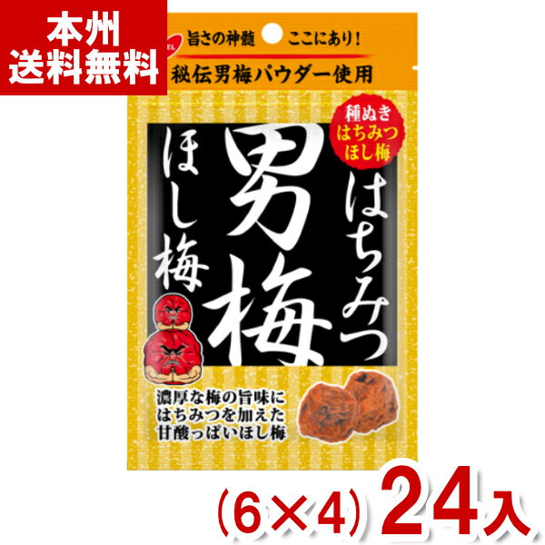 ノーベル 20g はちみつ男梅ほし梅 (6×4)24入 (熱中症対策 塩分補給 干し梅 梅干し すっぱい お菓子) (Y80) (本州送料無料)