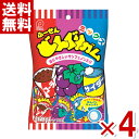 パイン どんぐりガム ミックス 110g×4袋セット (ポイント消化) (CP) (賞味期限2026.3月末) (メール便全国送料無料)