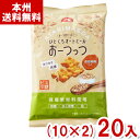 前田製菓 65g ひとくちオートミール おーつっつ (10×2)20入 (オーツ麦 食物繊維 間食 お菓子 景品) (Y80) (本州送料無料)
