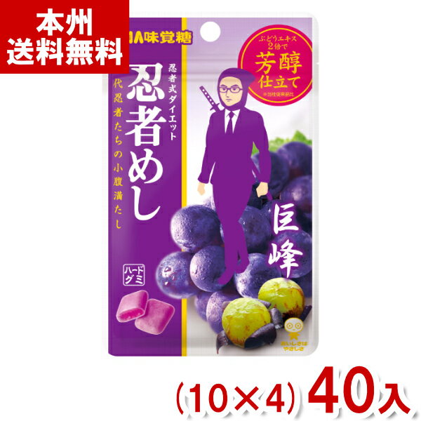 味覚糖 忍者めし 巨峰味 (10×4)40入 (グミ お菓子 おやつ 景品 まとめ買い) (Y80) (賞味期限2024.12月末) (本州送料無料) 1