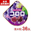 味覚糖 48g コロロ グレープ (巨峰) (6×6)36入 (ぶどう グミ お菓子 おやつ 景品 粗品 まとめ買い) (Y10) (本州送料無料)(4)