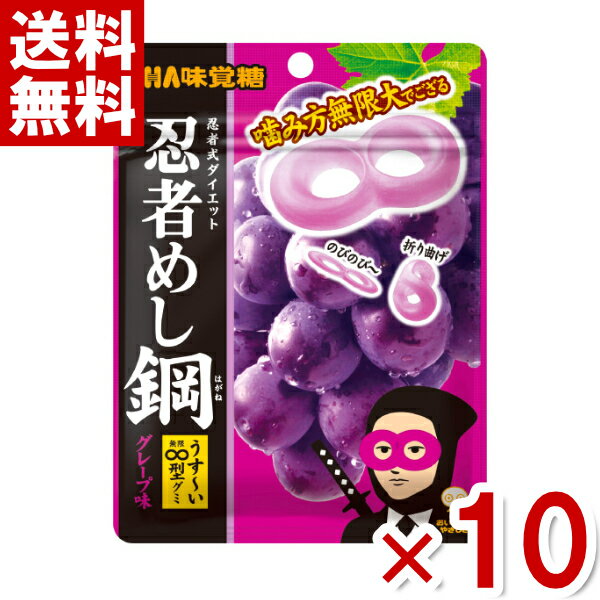 味覚糖 忍者めし鋼 グレープ味 45g 10入 ポイント消化 CP 賞味期限2024.12月末 メール便全国送料無料 