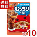 味覚糖 むっちりグミ コーラ 80g×10入 (ハードグミ お菓子) (ポイント消化) (CP) (賞味期限2025.12月末) (メール便全国送料無料)