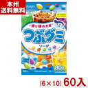 春日井製菓 80g つぶグミ ソーダ (6×10)60袋入 (ケース販売)(Y80) (new) (本州送料無料)