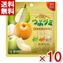 春日井製菓 つぶグミPREMIUM 濃厚梨 75g×10袋入 (ポイント消化) (CP) (賞味期限2025.9月末) (メール便全国送料無料)