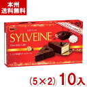 ブルボン 6個 シルベーヌ (5×2)10入 (ケーキ チョコレート ロングセラー 定番 お菓子 景品 まとめ買い) (Y80) (本州送料無料)