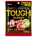 (賞味期限2025.6月末) カバヤ タフグミ 梅マニア 100g×6...(4)