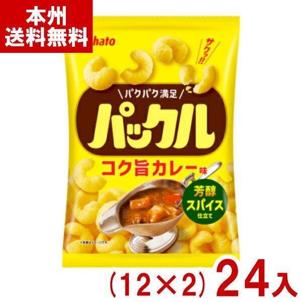 東ハト 57g パックル コク旨カレー味 (12×2)24入 (カレー スナック お菓子 景品 大量) (2ケース販売)(Y14) (本州送料無料)