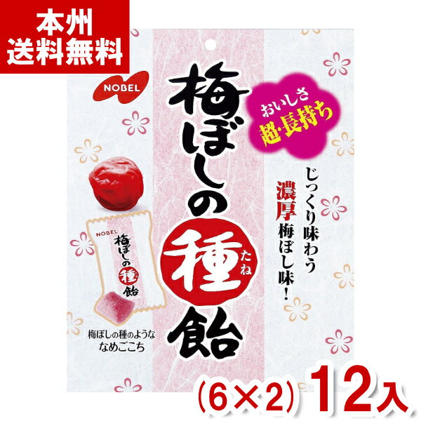 ノーベル 30g 梅ぼしの種飴 (6×2)12入 (梅干し飴 飴 キャンディ 塩分補給 熱中症対策 まとめ買い) (Y80..