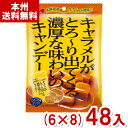 ノーベル 80g キャラメルがとろ~り出てくる濃厚な味わいのキャンデー (6×8)48袋入 (Y12)(ケース販売) (本州送料無料)