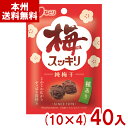 なとり 14g 梅スッキリチャック付 (10×4)40入 (干し梅 梅干し 熱中症対策 塩分補給 おやつ) (Y80) (new) (本州送料無料)