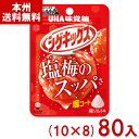 味覚糖 20g シゲキックス 梅ソルト (10×8)80入 (梅 グミ すっぱい お菓子 おやつ 景品) (ケース販売)(Y80) (レ) (本州送料無料)*