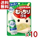 味覚糖 むっちりグミ スコール 64g×10入 (ハードグミ お菓子) (ポイント消化) (CP) (賞味期限2026.1月末) (メール便全国送料無料)