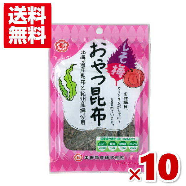 (賞味期限2024.7.10) 中野物産 しそ梅 おやつ昆布 10g×10袋入 (アウトレット 訳あり お菓子) (CP) (メール便全国送料無料)*のサムネイル