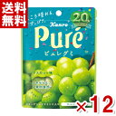 カンロ 56g ピュレグミ マスカット (6×2)12袋入 (CP) (メール便全国送料無料)