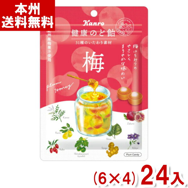 カンロ 90g 健康のど飴 梅 (6×4)24入 (のどあめ キャンディ) (Y80) (本州送料無料) 1