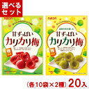 【内容量】 22g 【賞味期限】 メーカー製造日より6ケ月(未開封)です。実際にお届けする商品は、賞味期間は短くなりますのでご了承下さい。 【保存方法】 直射日光、高温多湿をおさけ下さい。 【原材料】 ・甘ずっぱいカリカリ梅 梅（中国）、漬け原材料（調味酢、食塩、砂糖・ぶどう糖果糖液糖、はちみつ）／ソルビトール、酒精、調味料（アミノ酸等）、酸味料、乳酸Ca、甘味料（ステビア）、ビタミンB1、香料、着色料（赤102）、香辛料抽出物 ・素材の色を楽しむ 甘ずっぱいカリカリ梅 梅（中国）、漬け原材料（調味酢、食塩、砂糖・ぶどう糖果糖液糖、はちみつ）／ソルビトール、酒精、調味料（アミノ酸等）、酸味料、乳酸Ca、甘味料（ステビア）、ビタミンB1、香料、香辛料抽出物 【商品説明】 選択肢よりお好きなフレーバーをお選びください。 各種10袋×2種の計20袋セットです。 種を一つ一つ取り除いて半分にカットし、食べやすいひとくちサイズにしました。 保存に便利なチャック付きです。 甘ずっぱいカリカリ梅 種ぬき カリカリ梅 かりかり梅 無着色 甘ずっぱいカリカリ梅 甘酸っぱいカリカリ梅 なとり はちみつ梅 種無し梅干し 梅 うめ 素材菓子 菓子 間食 ヘルシー 低糖質 ロカボ 種抜き梅 無着色 セット アソート お菓子 大量販売 送料無料 おかし おやつ 販促品 粗品 ノベルティ アミューズメント ゲームセンター クレーンゲーム 景品 賞品 卸売り 問屋 買い置き 買いだめ まとめ買い まとめ売り