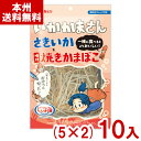 なとり 50g いかかまさん (5×2)10入 (おつまみ 珍味 おやつ さきいか 焼きかまぼこ 景品 お菓子) (Y80) (本州送料無料)