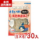 なとり 50g いかかまさん (5×6)30入 (おつまみ 珍味 おやつ さきいか 焼きかまぼこ お菓子) (ケース販売)(Y12) (本州送料無料)