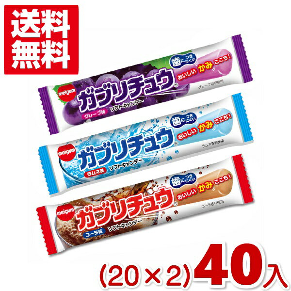 【ポイント20倍】tayas(タヤス) ダムラ フルーツソフトキャンディ 300g×24セット