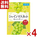 ライオン菓子 シャインマスカットキャンディー 71g×4袋 (栄養機能食品 飴 お菓子) (ポイント消化) (CP) (賞味期限2027.4月末) (メール便全国送料無料)