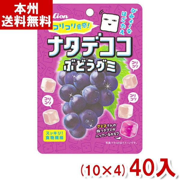 ライオン菓子 44g ナタデココぶどうグミ (10×4)40入 (ナタデココ グレープ グミ お菓子 おやつ 景品) (Y80) (本州送料無料)