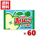 マルカワ 青りんごガム (55+5)60入 (ポイント消化) (CP) (メール便全国送料無料)