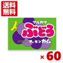 マルカワ ぶどうガム (55+5)60入 (ポイント消化) (CP) (メール便全国送料無料)