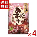 味覚糖 塩あずき 109g×4袋セット (飴 お菓子) (ポイント消化) (CP)(賞味期限2025.1月末) (メール便全国送料無料)