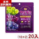 春日井製菓 75g つぶグミPREMIUM 濃厚ぶどう (10×2)20袋入 (Y80) (new) (本州送料無料)(4)
