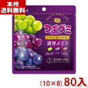 t䐻 75g ԃO~PREMIUM ZԂǂ (10~8)80ܓ (P[X̔)(Y10) (new) ({B)