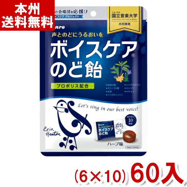 カンロ ボイスケアのど飴 個包装タイプ 70g (6×10)60入 (Y10)(ケース販売) (本州送料無料)