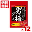 ノーベル 38g 男梅グミ (6×2)12入 (梅干し うめ ハードグミ)(ポイント消化) (CP) (賞味期限2026.1月末) (メール便全国送料無料)