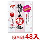 ノーベル 梅ぼしの種飴 30g (6×8)48入 (本州送料無料) (梅干し飴 飴 塩分補給 熱中症対策 まとめ買い)