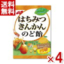 ノーベル はちみつきんかんのど飴 110g×4袋セット (ポイント消化) (CP) (賞味期限2027.1月末) (メール便全国送料無料)