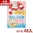 パイン 60g 冷たいのど飴さくらんぼ (6×8)48入 (飴 キャンディ お菓子 おやつ ばらまき まとめ買い) (Y12)(ケース販売) (本州送料無料)