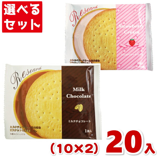 前田製菓 ビスケットリサーチ (各10枚×2種)20枚入 (ビスケット チョコレート お菓子 おやつ 景品 まとめ買い) (2つ選んで本州送料無料)