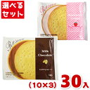 前田製菓 ビスケットリサーチ (10×3)30入 (ビスケット チョコレート ホワイトデー お菓子) (Y80) (3つ選んで本州送料無料)の商品画像