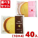 前田製菓 ビスケットリサーチ (10×4)40入 (ビスケット チョコレート ホワイトデー お菓子) (Y80) (4つ選んで本州送料…