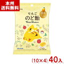 ロッテ 75g ポケモンりんごのど飴 袋 (10×4)40入 (ポケットモンスター のどあめ キャンディ) (Y10) (本州送料無料)