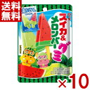 ロッテ スイカ&メロンバーグミ 73g×10入 (スイカバー メロンバー お菓子) (ポイント消化) (CP)(賞味期限2026.6月末) (レ) (メール便全...
